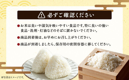 〈令和7年産〉浦臼産 ななつぼし 精白米 10kg （5kg×2袋） 【2026年1月下旬-8月下旬迄順次発送予定】 令和7年 米 お米 こめ コメ ブランド米 ごはん ななつぼし 精米 白米 10k