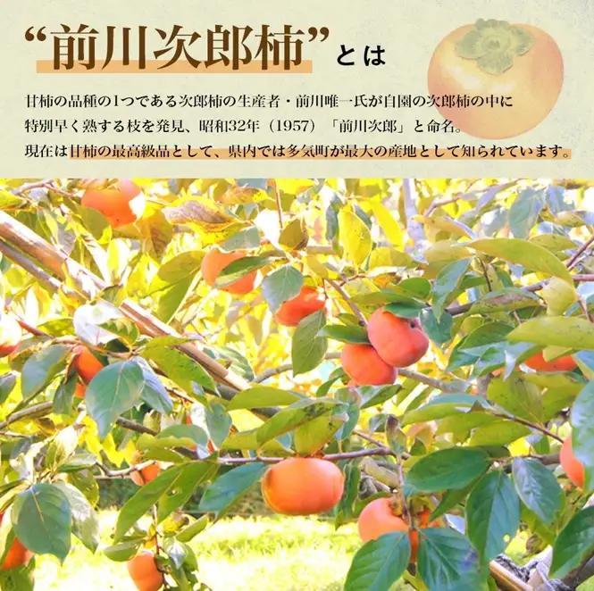 柿【2026年度発送分】きんちゃん農園のたねなし柿(家庭用・訳あり)約10kg【KCN-03】