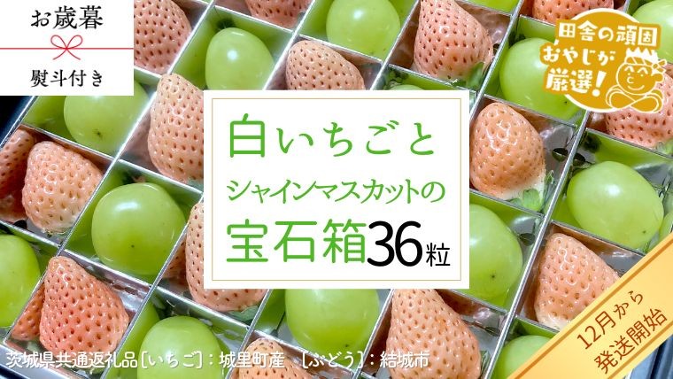 
            【 お歳暮 熨斗付 】シャインマスカットと白いちごの宝石箱 36粒【12月から発送開始】（茨城県共通返礼品 [ぶどう]：結城市　[いちご]：城里町産） いちご 苺 イチゴ 白いちご 白イチゴ シャインマスカット マスカット 宝石箱
          