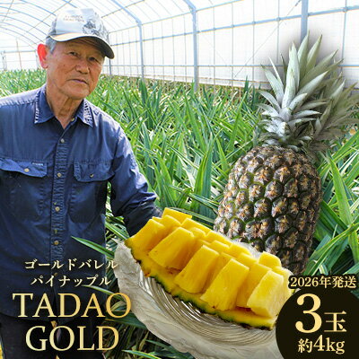 【ふるさと納税】TADAO GOLD　3玉　約4kg（多冠芽含む）【ゴールドバレル】2026年発送 ゴールドバレル パインアップル タダオゴールド たまき ただお 逸品 パイン職人 最高級 国産パイン パイナップル パイン 匠 高級フルーツ 南国フルーツ 特別 希少 玉城忠男 農家直送