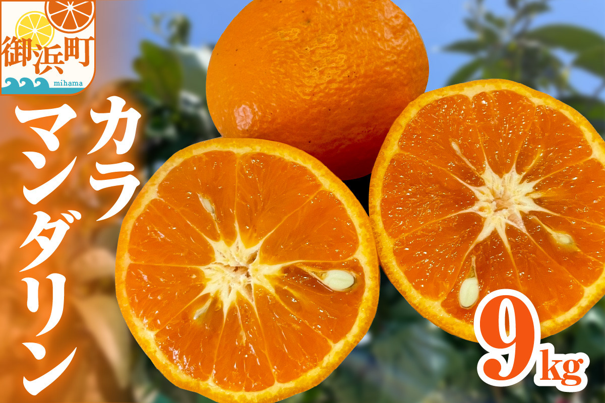 
            【2026年発送 先行予約品】濃厚とろ旨！ミカファームのカラマンダリン9キロ【数量限定 果物 フルーツ みかん オレンジ カラマンダリン デザート 9kg 三重県 御浜町】
          