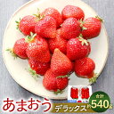 【ふるさと納税】【先行受付】いちごの王様！【あまおうデラックス】 計約540g 約270g×2パック【2026年1月上旬-3月下旬発送予定】よっちゃんファーム 苺 いちご イチゴ あまおう 福岡県産 国産 果物 福岡県 大任町 冷蔵 送料無料