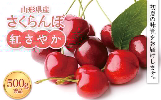 ≪2026年先行予約≫山形県産 さくらんぼ 紅さやか 500g 秀品 M～L バラ詰め 2026年6月上旬から順次発送 酸味あり 果実 果物 くだもの フルーツ 早生 桜桃 サクランボ お菓子作り 加工 自宅用 家庭用 山形県 西川町 月山 FYN9-937