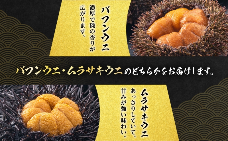 【配送日時・曜日指定不可】小川商店の無添加塩水ウニ100g×3パック※2024年5月中旬より順次出荷 北海道 海鮮 生うに うに
