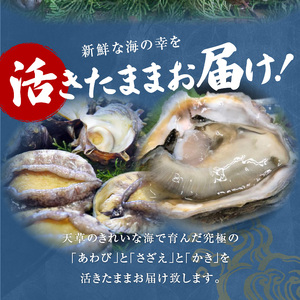 S002-021_【期間限定】大容量！天草の旬！バーベキューセット　約6人前