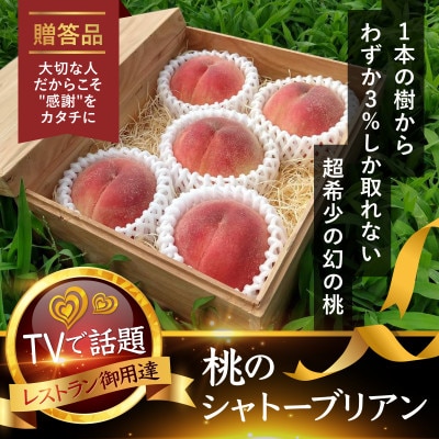 【1泊100万円高級宿御用達】1000個中1個の希少性『幻のシャトーブリアン桃』2025年6月下旬【配送不可地域：離島・北海道・沖縄県・中国・四国・九州】