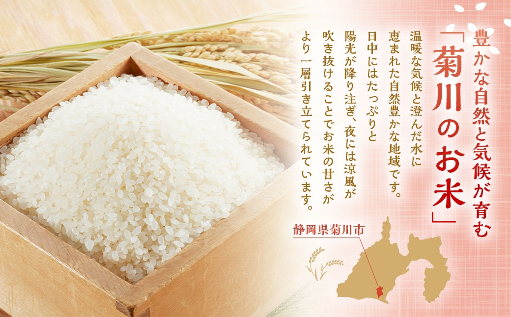 静岡県産コシヒカリ 精米 5kg （5kg×1袋）