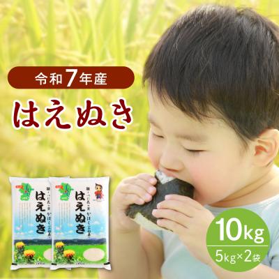 ふるさと納税 河北町 【令和7年産米】2026年1月下旬発送 はえぬき10kg 山形県産 【JAさがえ西村山】
