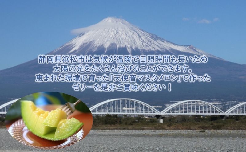 天使音（あまね）マスクメロン ゼリー 90g×8個 フルーツ 果物 メロン 静岡県 浜松市 高級 ゼリー