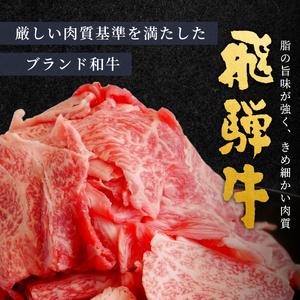 【最短発送】 飛騨牛 切り落とし 250g すき焼き 牛丼 炒め物 訳あり 肉のひぐち