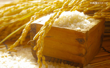 【令和7年度産 新米！】福岡県産米 夢つくし 30kg (5kg×6袋) 精米 桂川町/有限会社ファインリョーコク[ADCE004]