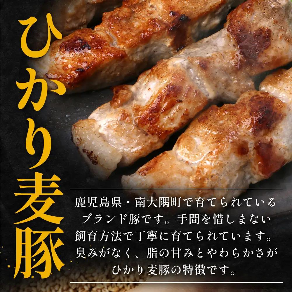 鹿児島県産 ひかり麦豚 串焼きとん 計32本 （4本×8パック）冷凍 HM-9 | 肉 お肉 にく 豚肉 焼豚 串焼 冷凍 BBQ おつまみ 加工品 真空冷凍 新鮮 小分け 産地直送 鹿児島県 南大隅