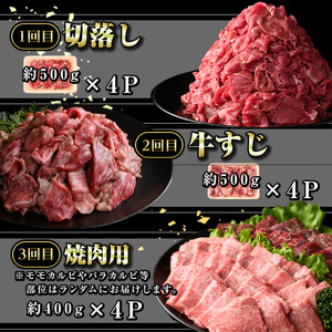 【E01009】＜定期便・全6回＞鹿児島黒牛 満足定期便・満腹セット(全5種・合計10kg) 鹿児島黒牛 モモ 赤身 ホルモン 霜ぶり 霜降り ステーキ 牛すじ 切り落とし 切落し 焼肉 食べ比べ 日