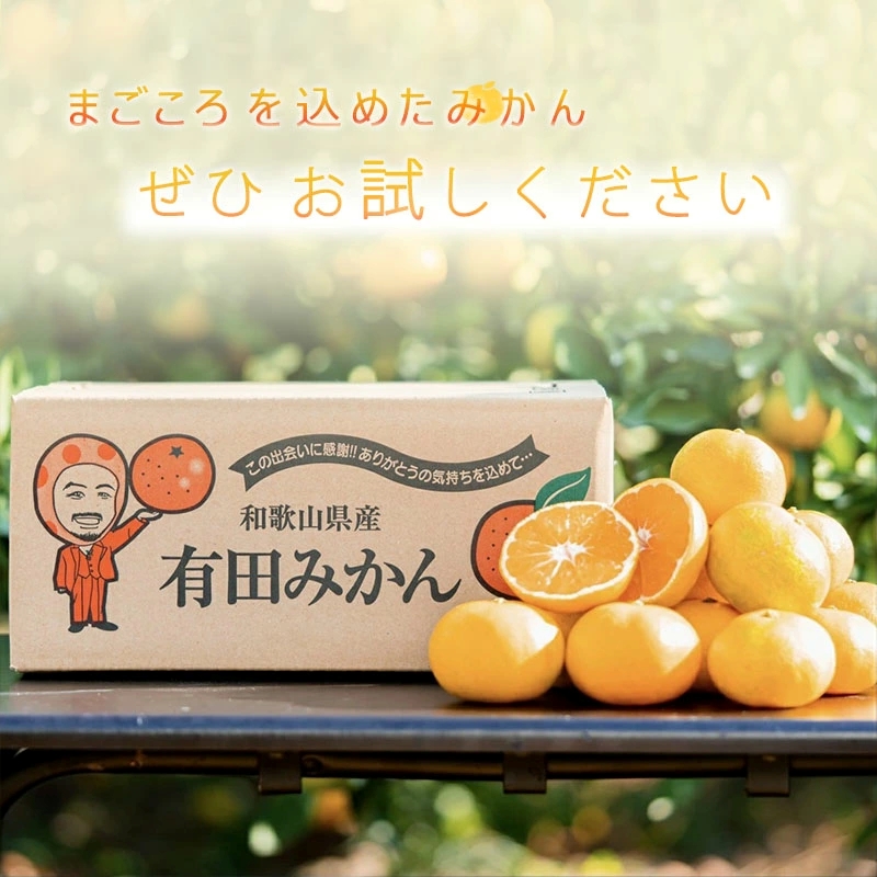 ZE6480_有田みかん 約2.5kg 【家庭用】 (S～Lサイズ混合)【まごころ手選別】