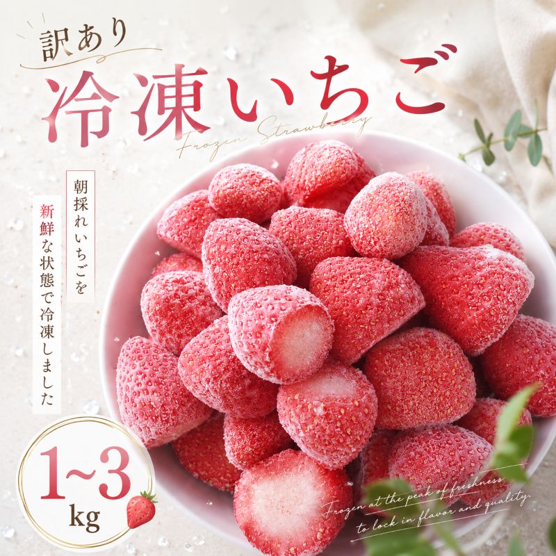 【ふるさと納税】 いちご 冷凍 訳あり 1kg 2kg 3kg 選べる容量 フローズン ストロベリー 朝採れ ご当地 苺 果物 くだもの フルーツ デザート ジャム スムージー ヨーグルト イチゴ よつぼし 紅ほっぺ かおり野 恋みのり おいCベリー 食品 げんき農場 埼玉県 羽生市