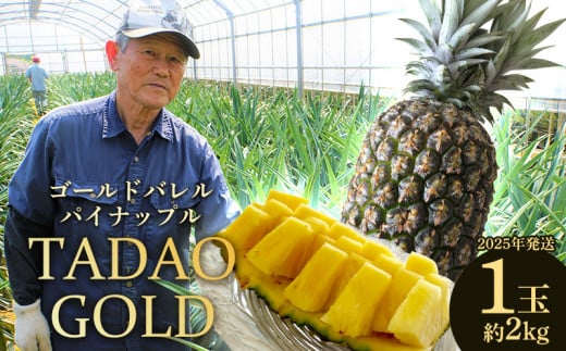 TADAO GOLD　1玉　約2kg【ゴールドバレル】2025年発送 ゴールドバレル パインアップル タダオゴールド たまき ただお 逸品 パイン職人 最高級 国産パイン パイナップル パイン 匠 高級フルーツ 南国フルーツ 特別 希少 玉城忠男 農家直送 沖縄 東村