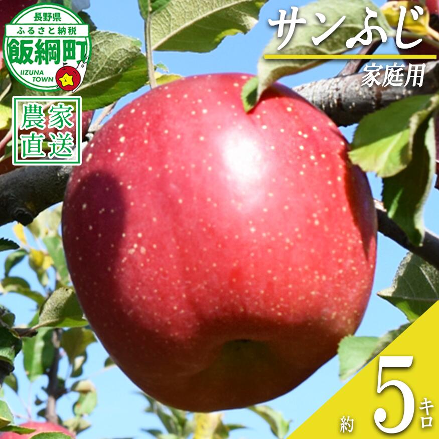 【ふるさと納税】 りんご サンふじ 家庭用 5kg ファームたんぽぽ 沖縄県への配送不可 令和8年度収穫分 長野県 飯綱町 〔 信州 果物 フルーツ リンゴ 林檎 長野 14000円 予約 農家直送 〕発送時期：2026年12月上旬〜2027年1月下旬頃{**}
