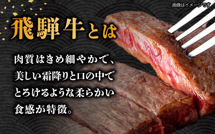 ステーキ サーロインステーキ サーロイン ステーキ肉 牛 国産 和牛 焼肉