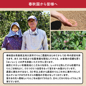 【2025年12月上旬発送】【訳あり】りんご5kg青森産春秋園の家庭用完熟サンふじ