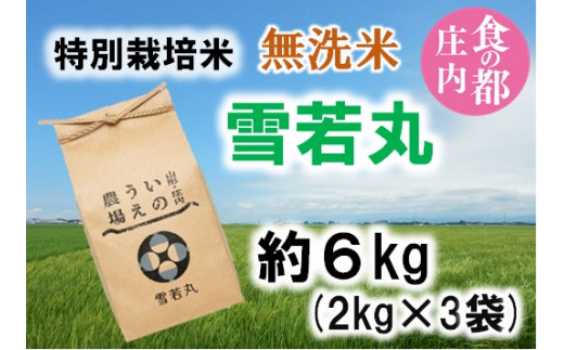 食の都庄内　【令和7年産・無洗米（精米）】特別栽培米雪若丸6kg《井上農場》