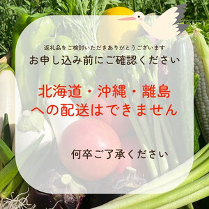 予約 野菜と米 12回 定期便 京都 佐伯の里 新鮮 旬の野菜セット 7～10品 コシヒカリ2kg 新米 定期便 12ヶ月 京都丹波・亀岡産 季節の野菜 詰め合わせ 訳あり 生活応援 ※北海道・沖縄・