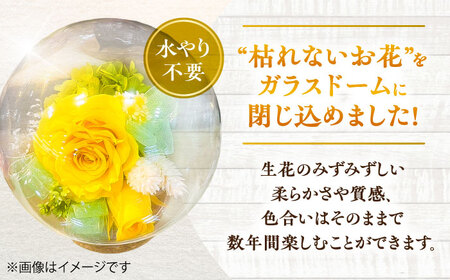 プリザーブドフラワー　ガラスドーム (黄色) / 花 プレゼント 贈答用 ガラス 母の日 父の日 入学式 卒業式 菊陽町 熊本県【株式会社 美向】[BHDC003]