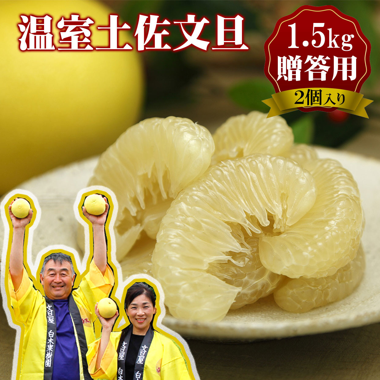 
                  【先行予約】〈12月発送〉土佐文旦 温室土佐文旦 特選秀品ご贈答用中箱 2個入り 約1.5kg〈2026年12月上旬～2027年1月中旬頃発送〉  /  文旦 大玉サイズ ハウス文旦 柑橘 みかん フルーツ ぶんたん ブンタン 果物 お取り寄せ【白木果樹園】 [BQAI037]
                