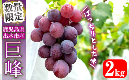 i855 ≪数量・期間限定≫ 巨峰 (計2kg) ぶどう 果物 くだもの 巨峰 葡萄 旬 歯ごたえ 冷蔵【山門ぶどう園】