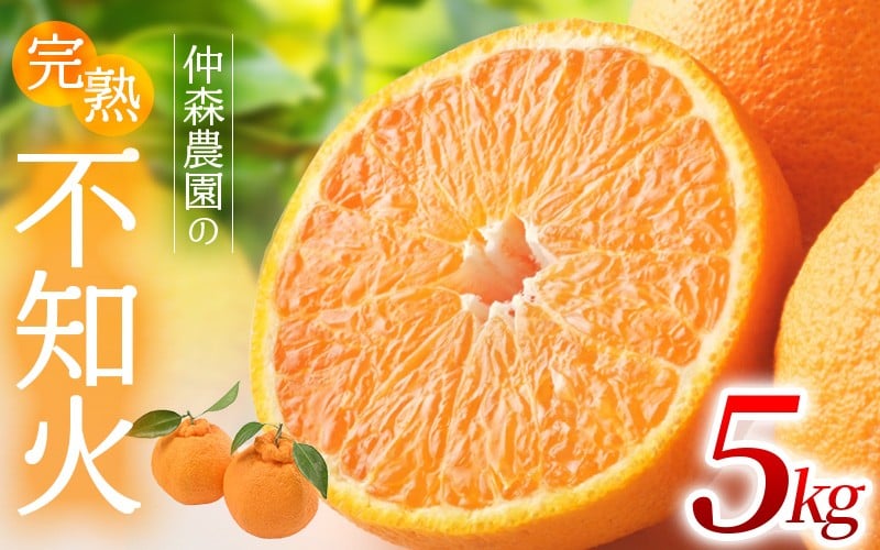 
                  【数量限定】仲森農園の完熟不知火 5kg 【2026年2月～4月頃で順次発送】 みかん ミカン 蜜柑 柑橘 しらぬい 不知火 フルーツ 果物 くだもの 旬 甘い 産地直送 期間限定 みかん 3月 2月 三重県 熊野市 【nkmr0003】
                