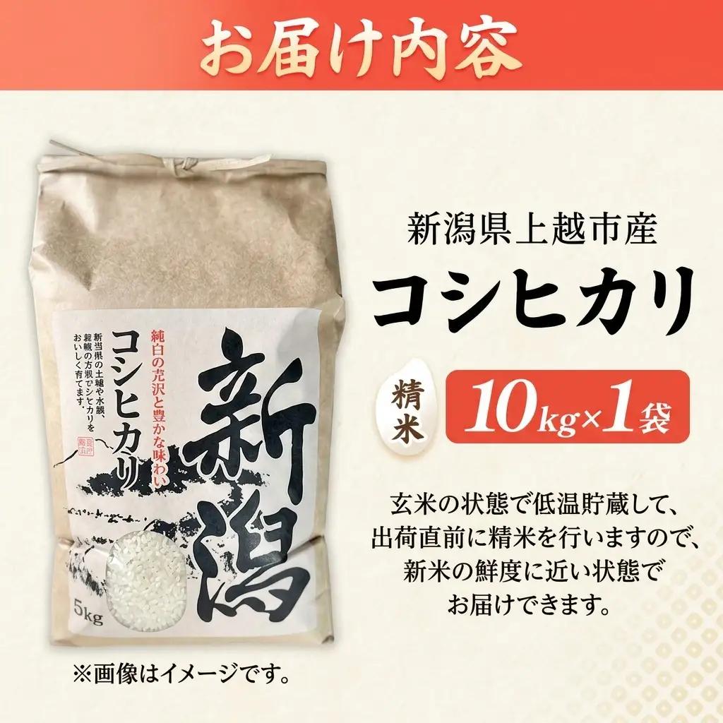 山本農園 コシヒカリ 特別栽培米 10kg 精米 コシヒカリ