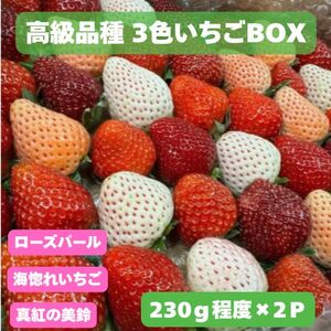 110003　高級品種3色いちごBOX（※12月下旬～4月末頃発送）