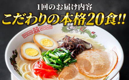【全3回定期便】博多ラーメン 20食セット（福岡名物豚骨ラーメン）本格派こだわり 半生めん《築上町》【株式会社マル五】[ABCJ036] ラーメン定番 博多ラーメン 人気ラーメン 豚骨ラーメン ラーメ