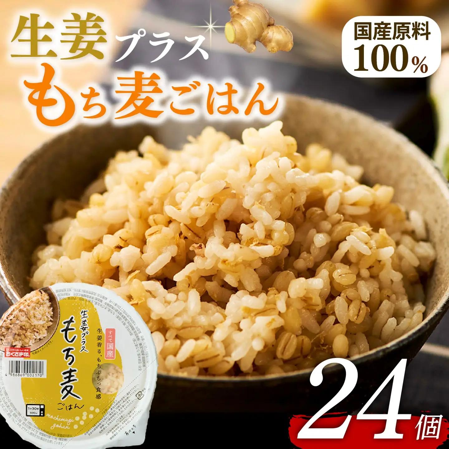 【もち麦】 生姜プラスもち麦ごはん 160g×24個 ご飯パック
