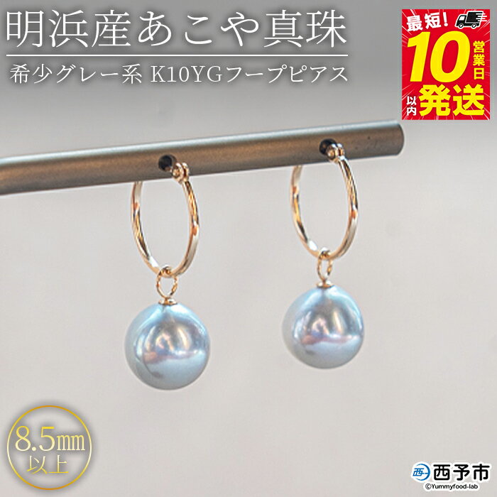 【ふるさと納税】＜明浜産あこや真珠8.5mm以上 希少グレー系 K10YGフープピアス＞『最短10日営業日以内に発送』アコヤ真珠 パール チャーム ジュエリー アクセサリー プレゼント ギフト 贈答 記念日 品質保証書付き ナチュラルカラー PRAY akoyapearl 愛媛県 西予市【常温】