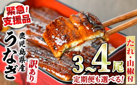 
                  【緊急支援品】＜容量が選べる＞＜訳あり＞鰻の蒲焼き(無頭)＜計約480g(3～4尾)/定期便・計約960g(3～4尾×2回)＞(タレ、山椒付) うなぎ ウナギ 鰻 蒲焼き 国産うなぎ 国産 九州産 鹿児島 鹿児島県産 人気 ランキング 高級 おすすめ 支援【アクアおおすみ】
                