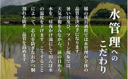 【令和6年産新米】〈6回定期便〉令和6年度産新米【お米ソムリエのお米】新之助 精米 5kg（5kg×1袋）［2024年10月中旬以降順次発送］ エバーグリーン農場