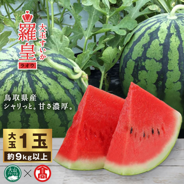 【ふるさと納税】DB-07＜原 農園＞鳥取県産大玉スイカ　羅皇（らおう）（大山ブランド会）　すいか、らおう、大玉すいか、鳥取県産、フルーツ、果物 鳥取県 鳥取県産 大山町 大山 お土産 返礼品 国産 お取り寄せ ご当地
