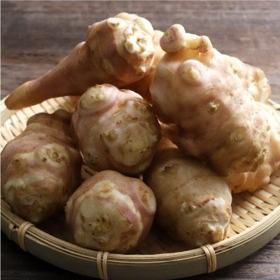 ふるさと納税 釧路市 生菊芋 F4F-3261