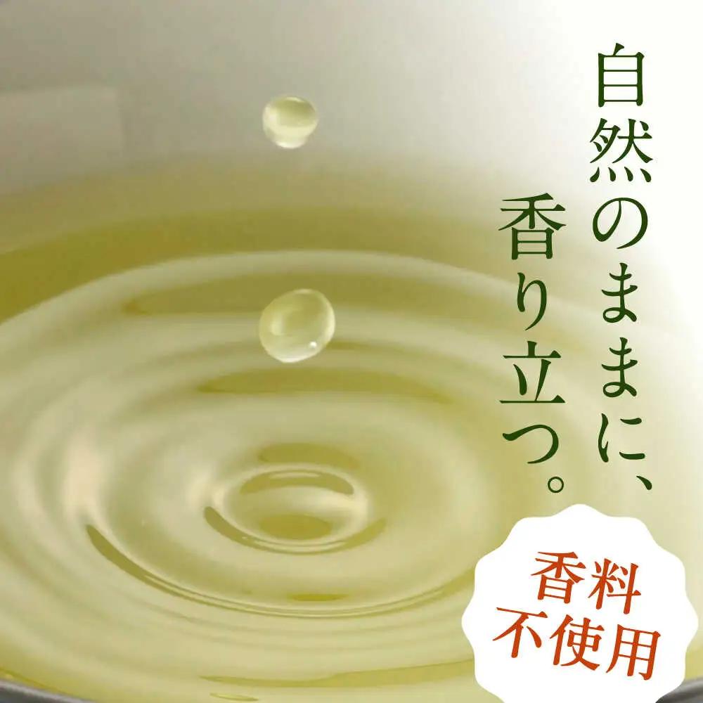 緑茶ペットボトル 500ml×24本入 / 白川園本舗[AWAT001]お茶緑茶