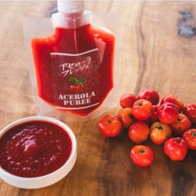 ふるさと納税 本部町 アセローラ果汁100%!アセローラピューレ 100g×9P |  | 02