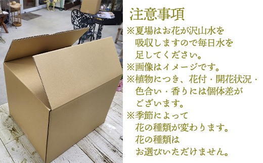 「全3回定期便」季節のアレンジメントフラワーをご寄付の翌月から3回お届け 贈り物やご自宅に 生花 誕生日 プレゼント ギフト おまかせ「2023年 令和5」