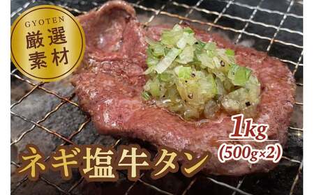 【ふるさと納税】 葱塩牛タン 牛タンスライス 1kg 毎月お届け(全3回) [ 牛タン スライスタン 葱塩 ネギ塩 牛たん 焼肉 焼き肉 ステーキ 牛肉 焼肉 焼肉用 塩タン タン塩 味付け牛タン 本