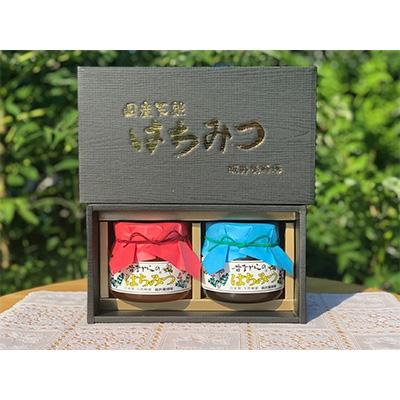 ふるさと納税 大牟田市 坂井養蜂場　昔ながらの蜂蜜　550g　2本組