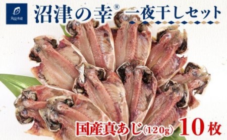 一夜干し 沼津の幸 真あじ 120g 10枚 セット 干物 一夜干し