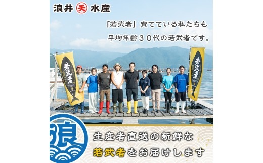 豊後ハマチ 若武者(丸一本) ハマチ はまち 鮮魚 旬 刺身 鰤しゃぶ 竜田揚げ りゅうきゅう 国産 大分県 佐伯市 特産品【GS001】【浪井丸天水産】