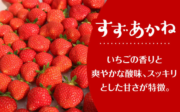 【先行予約 2026年7月以降順次発送】夏秋イチゴ「すずあかね」計600g 《厚真町》【こばやしいちご農園】 [AXBT003]