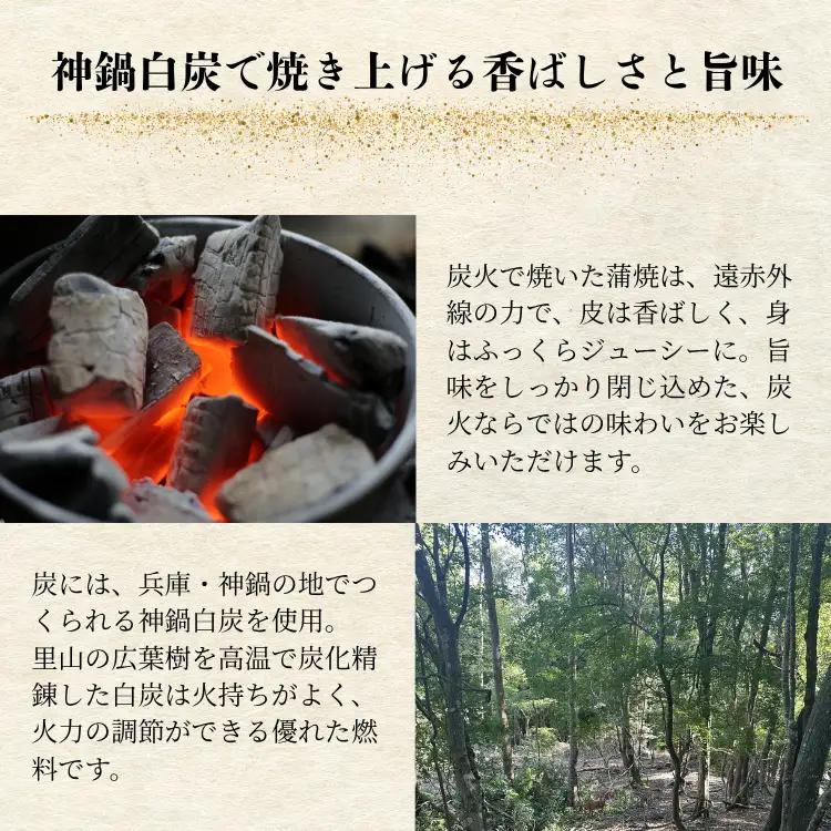 【贈答用】襷屋 国産うなぎ 手焼き蒲焼 2尾(約240g) A-AA-A47A