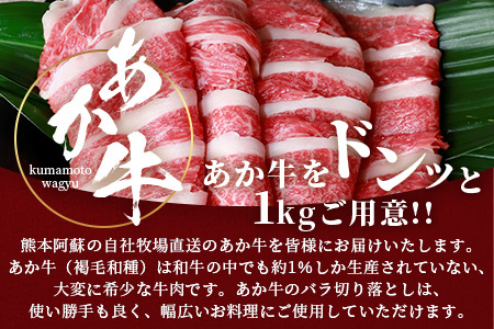 熊本県産 あか牛 バラ 切り落とし 1kg （500g×2） 【 熊本県産 あか牛 牛肉 バラ 大容量 肉 熊本産 国産牛 和牛 赤身 ヘルシー 多良木町 牛肉 】046-0637