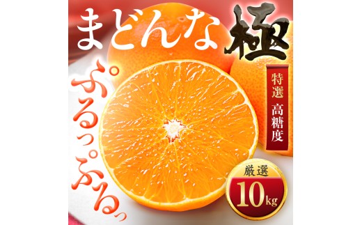 「夕やけブランド」ぷるぷる食感＜まどんな＞10kg　※紅まどんな と同品種　＜H49-40＞【1508955】 YWTZ032
