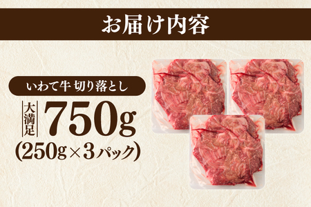 ＼3ヶ月連続 定期便／ 切り落とし 肉 牛肉 小分け 真空冷凍 いわて牛 750g (総計 2,250g) 岩手県産 和牛 牛肉 黒毛 和牛 切り落とし肉 大容量 肉 すき焼き 肉じゃが 煮込み 煮物